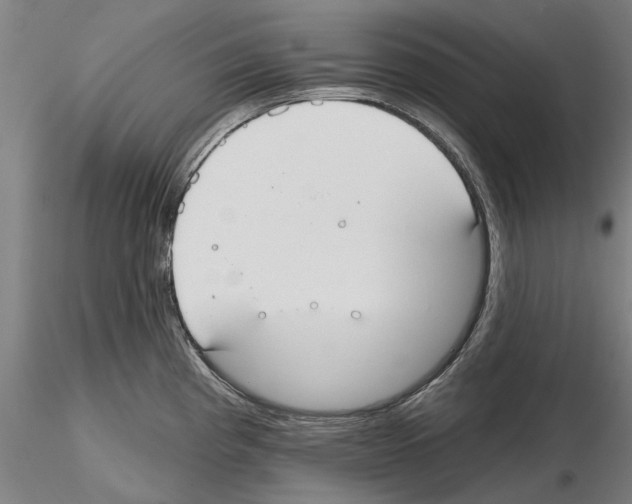 X0000114991193200912071110