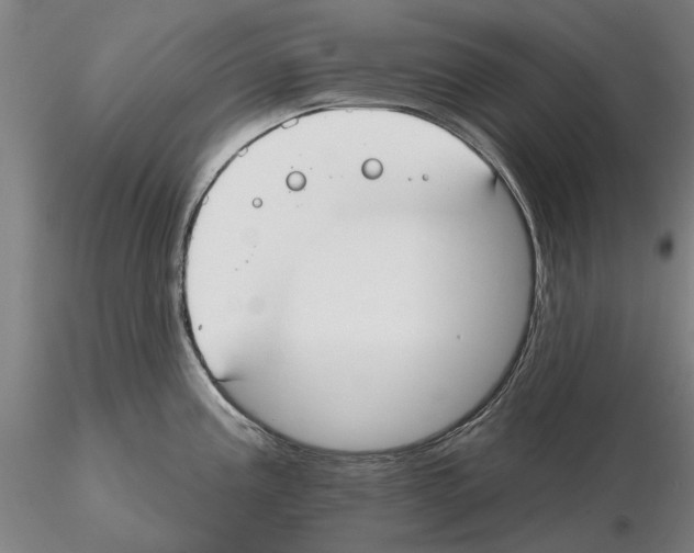 X0000114991195200912071110