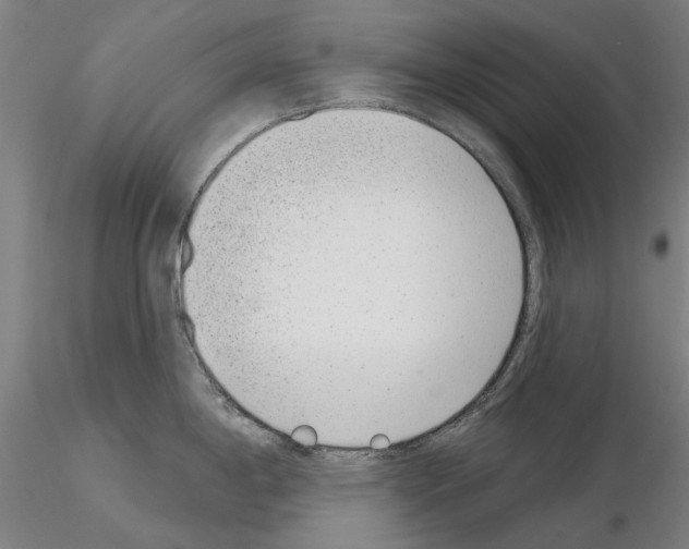 X0000114991198200912071110