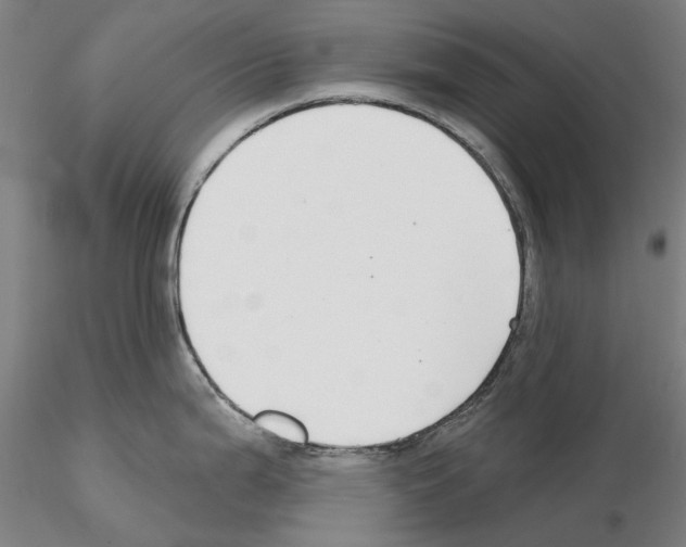 X0000114991199200912071110