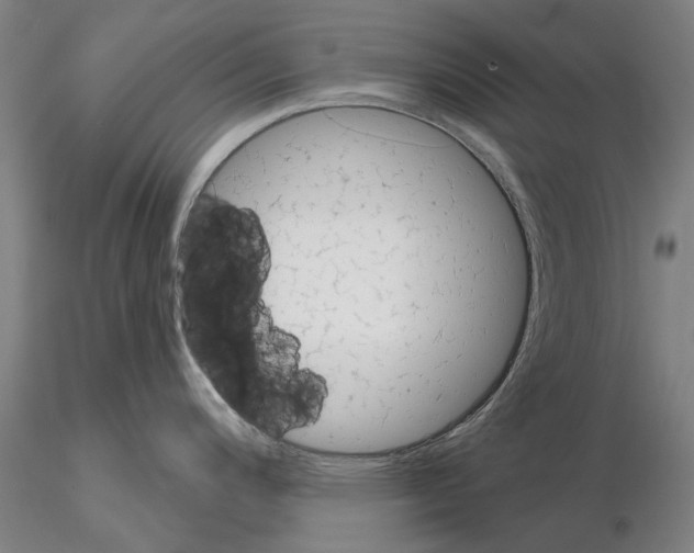 X0000114991200200912071110