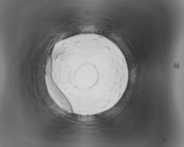 X0000114991201200912071109