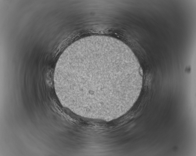 X0000114991202200912071109