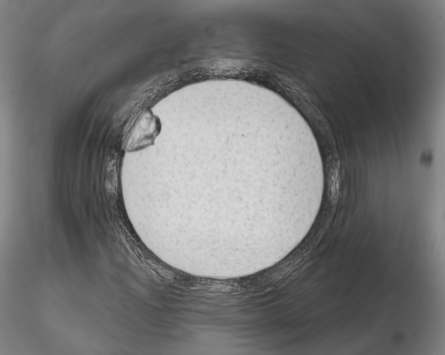 X0000114991204200912071109