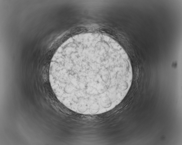 X0000114991205200912071109