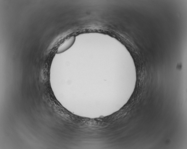 X0000114991207200912071109