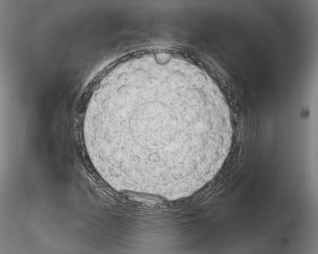 X0000114991208200912071109