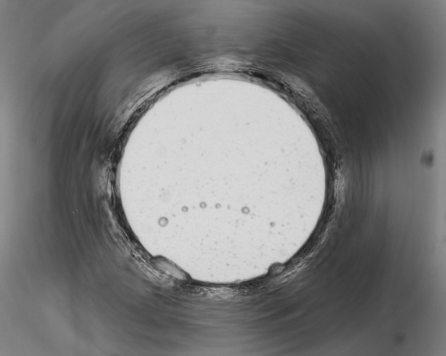 X0000114991209200912071109