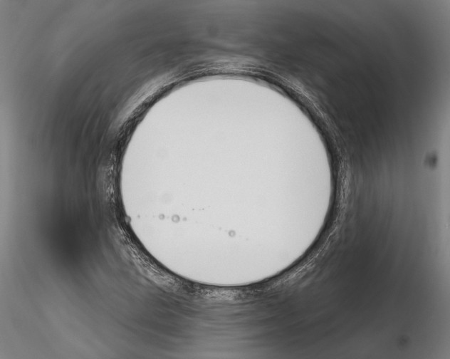 X0000114991211200912071109