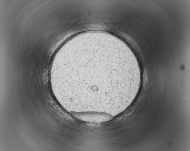 X0000114991212200912071109