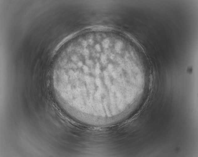 X0000114991213200912071109