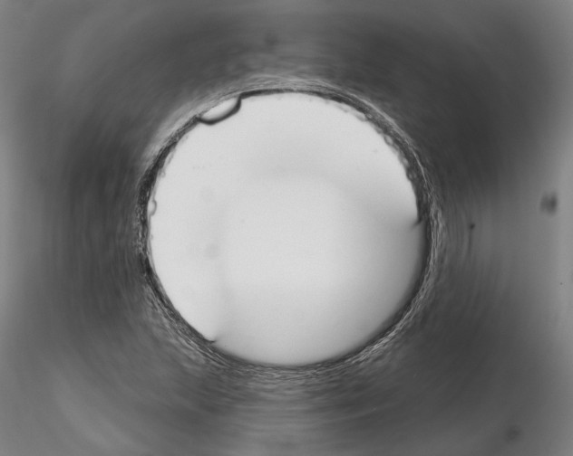 X0000114991215200912071109