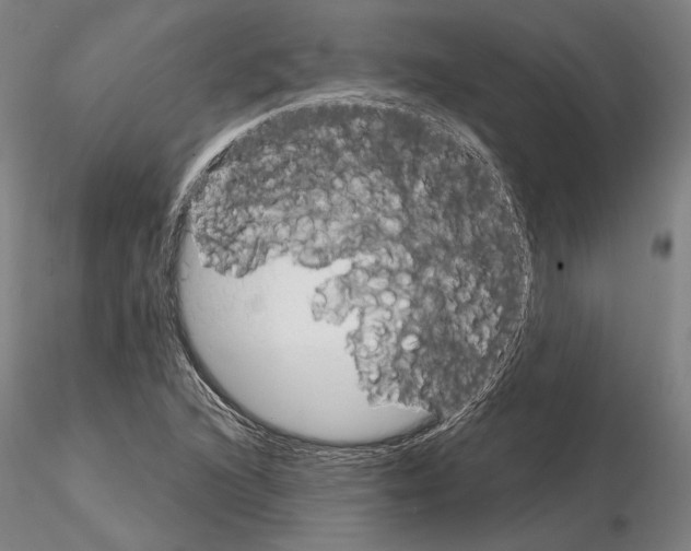 X0000114991216200912071109