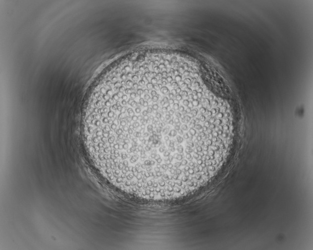 X0000114991220200912071109