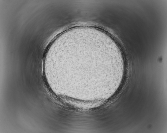 X0000114991221200912071109