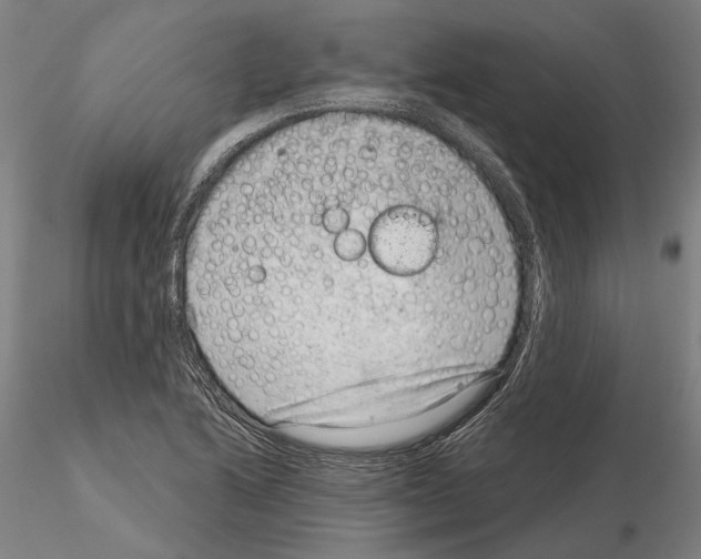 X0000114991222200912071110