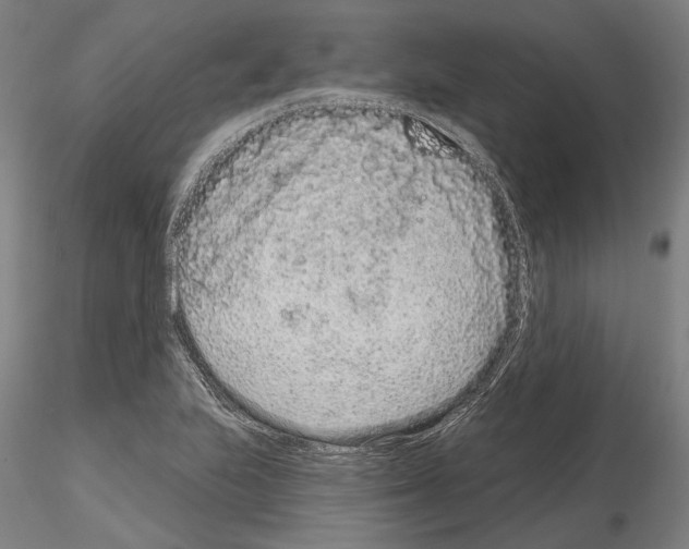 X0000114991223200912071110