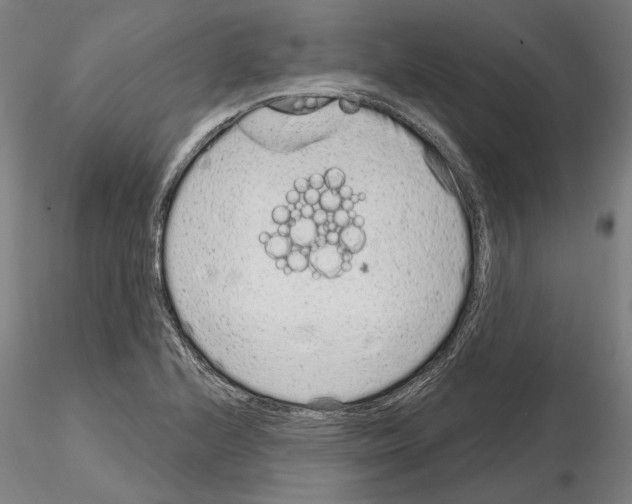 X0000114991224200912071110