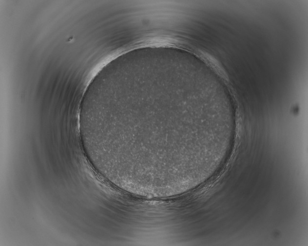 X0000114991226200912071110