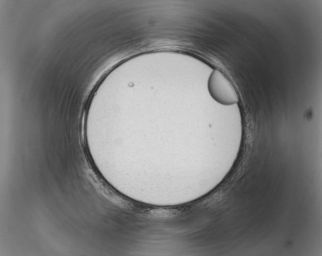 X0000114991227200912071110