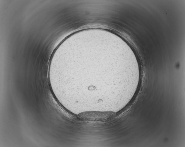 X0000114991228200912071110