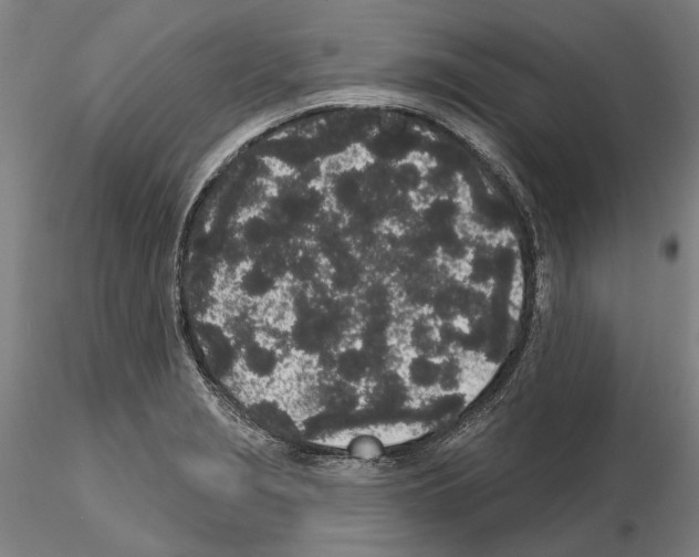 X0000114991229200912071110