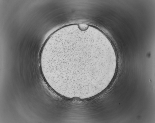 X0000114991230200912071110