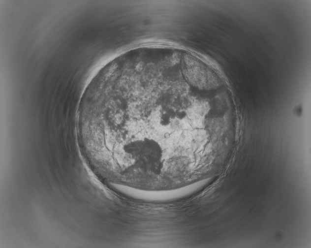 X0000114991231200912071110