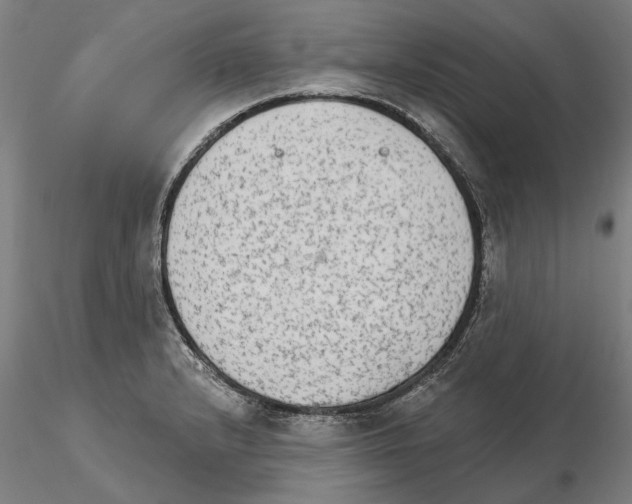 X0000114991232200912071110