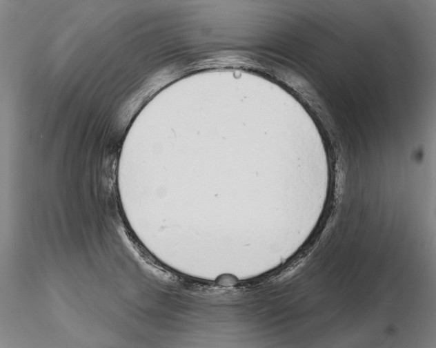 X0000114991233200912071110