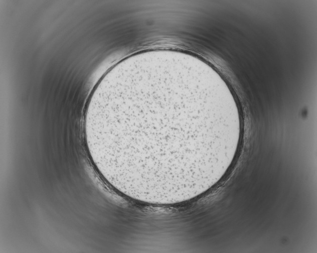 X0000114991234200912071110