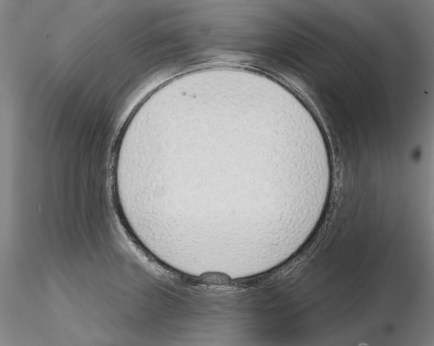 X0000114991235200912071110