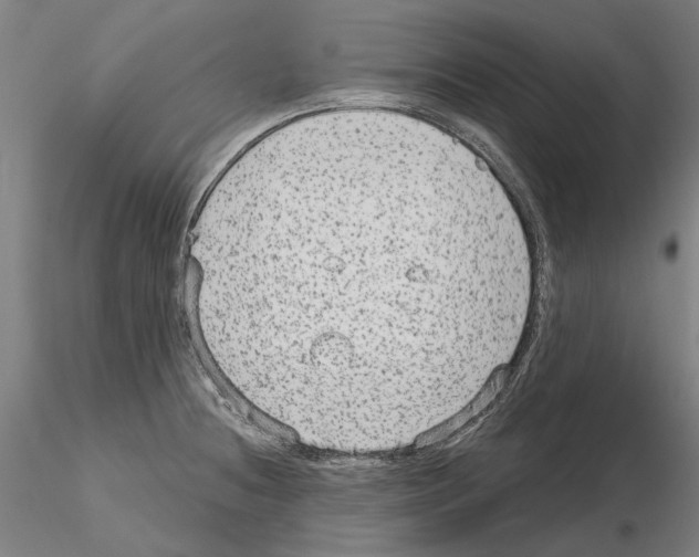 X0000114991236200912071110