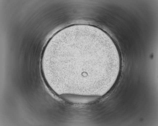 X0000114991237200912071110