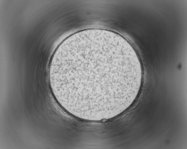 X0000114991238200912071110