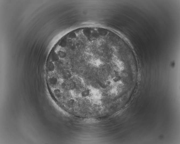 X0000114991239200912071110