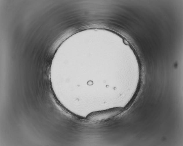 X0000114991241200912071110