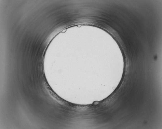 X0000114991242200912071110