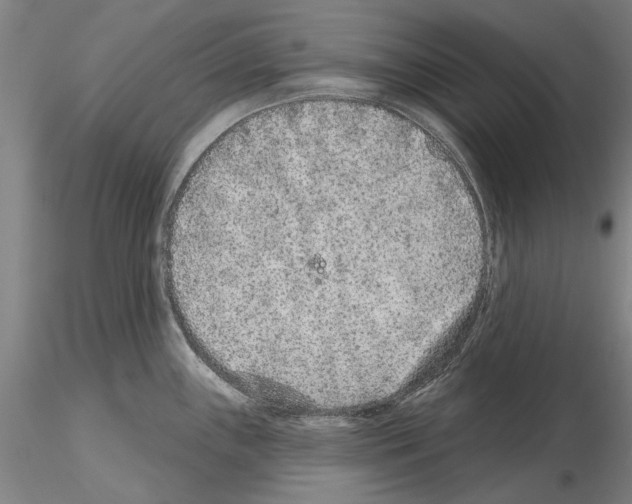 X0000114991243200912071110