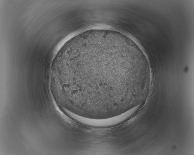 X0000114991245200912071110