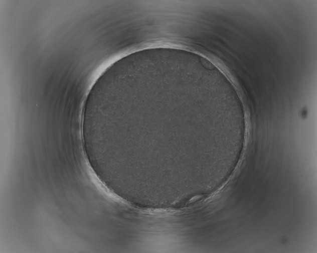 X0000114991246200912071110