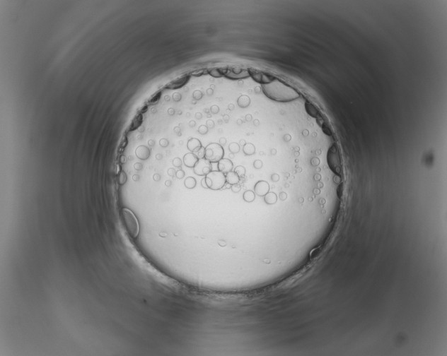 X0000114991247200912071110