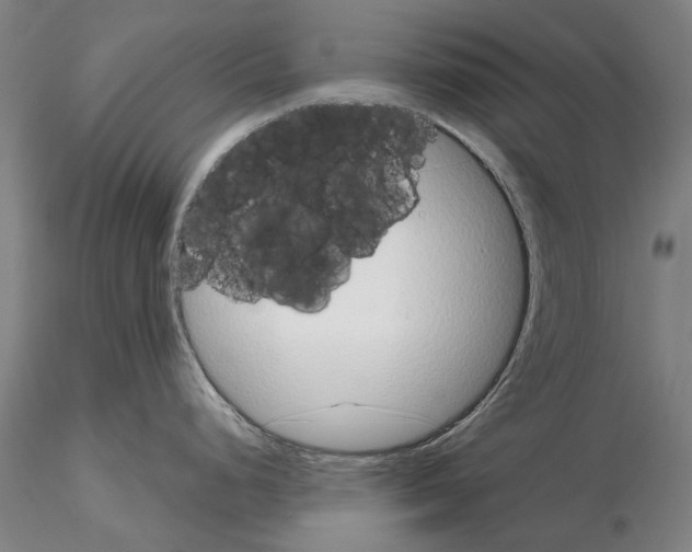 X0000114991248200912071110