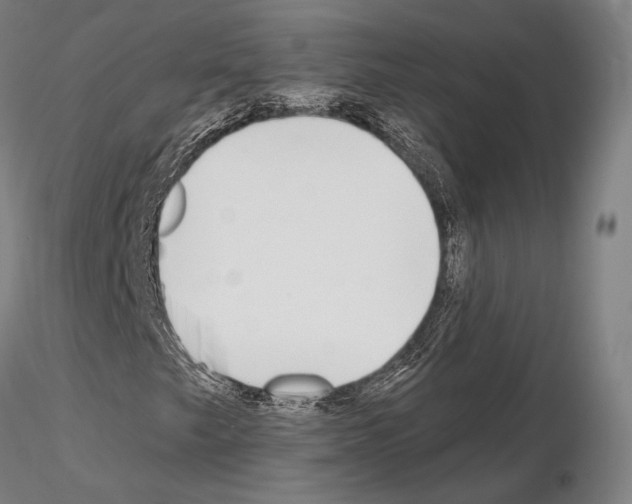 X0000114991249200912071109