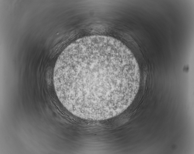 X0000114991250200912071109