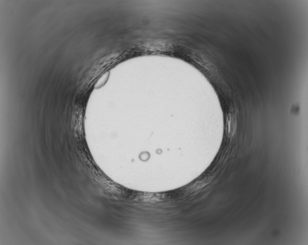 X0000114991251200912071109