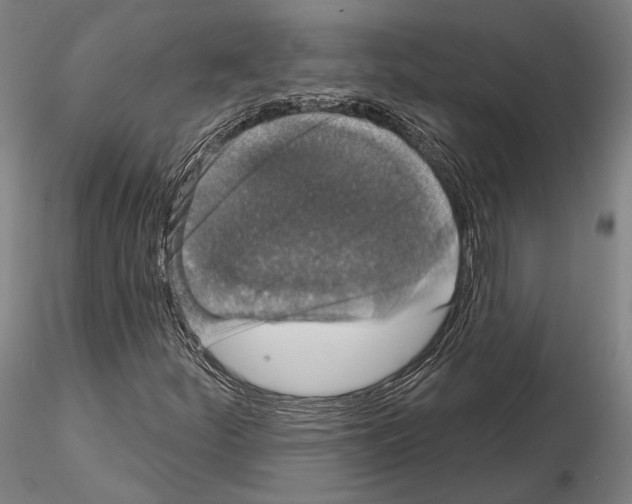 X0000114991252200912071109