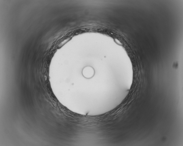 X0000114991253200912071109