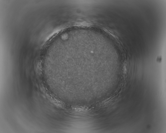 X0000114991254200912071109