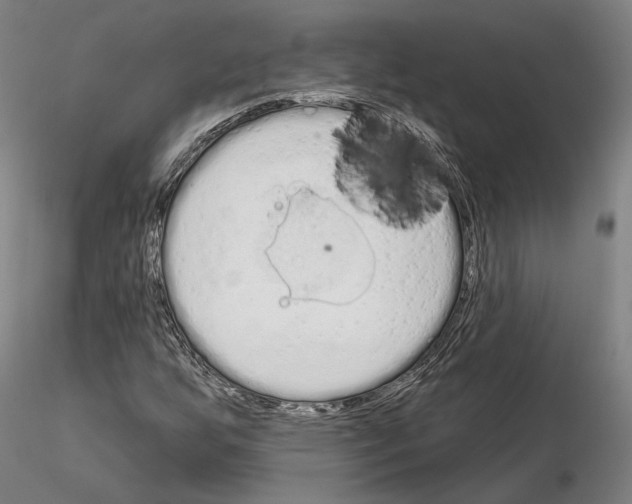 X0000114991255200912071109